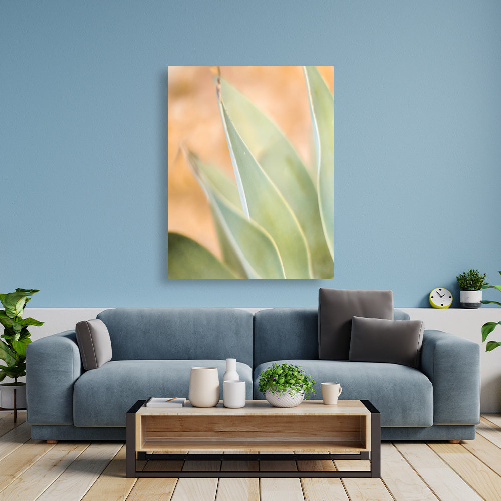 c9eb7ee3-ac6d-11ed-8c00-416c9dd54296